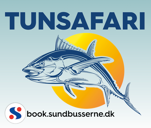Tunsafari med Sundbusserne